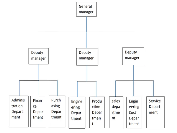 Company Structure